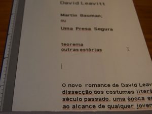 Martin Bauman ou Uma Presa Segura de David Leavitt