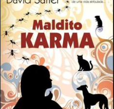 Maldito Karma, David Safier
