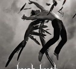hush, hush de Becca Fitzpatrick