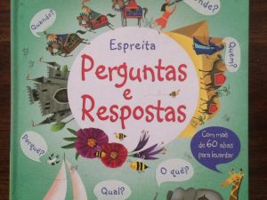 Espreita - Perguntas e Respostas de Katie Daynes e Marie-Eve Tremblay