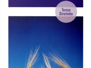 O Princípio da Atracção de Teresa Direitinho