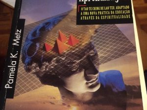 O Tao Da Aprendizagem de Pamela K. Metz