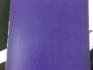 No olhar de narciso ensaios sobre a memoria o afecto e a criatividade