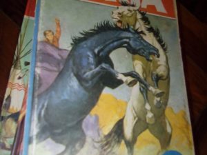 Fúria o Cavalo Ladrão