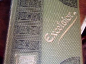 EXCELSIOR. (Carteira d’um Idealista). *** Mayer Garção *** Porto: Livraria Chardron, de Lello & Irmão, editores, 1907