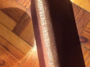Poesias escolhidas : 1889-1900 / Eugénio de Castro