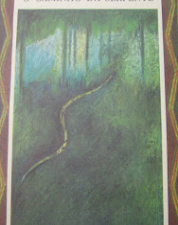 O Caminho da Serpente - Torgny Lindgren
