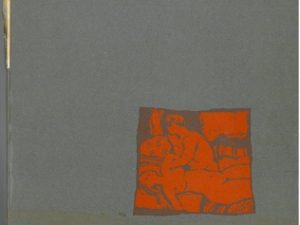 A grande seara, Roger Bordier ; trad. Urbano Tavares Rodrigues, Fernanda Portugal Branco