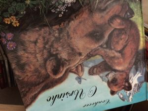 O Ursinho (Conhecer, #2) by Marie Duval, Pierre Couronne (Illustrator), Ana Rita Viana (Translator)