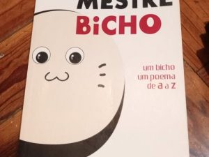 Mestre Bicho de Anair Cardoso