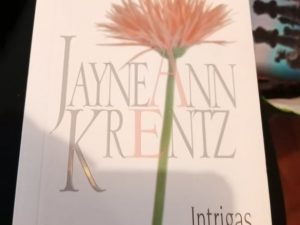 Intrigas e Desejo, Jayne Ann Krentz