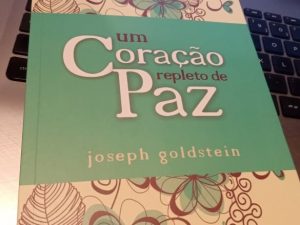 Um Coração Repleto de Paz de Joseph Goldstein