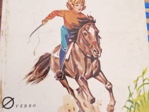 a princesa da planicie g. catelin