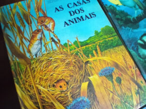 explorando a casa dos animais