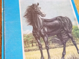 Beleza Negra de Anna Sewell