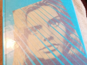 Olhai os Lírios do Campo, Erico Verissimo