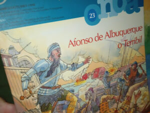 Afonso de Albuquerque, O Terribil