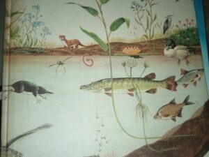 MARAVILHAS DA NATUREZA David Sharp