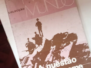 A questão do Vietname by Pedro Ramos de Almeida