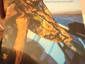 Culatra Uma ilha com gente dentro de Ana Cristina Leonardo