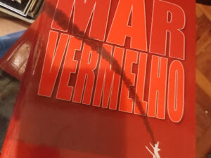 Mar Vermelho de Emily Benedek