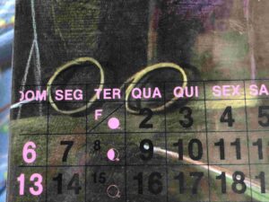 Correndo Contra o Tempo Adicionado por mariaroldao Autor(a) Eric Ambler