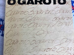 "O Garoto" de Robert Pinget