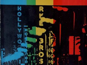 Devia Ter Ficado Em Casa / Horace McCoy