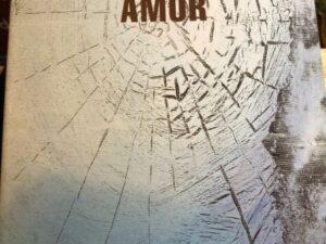 Amor de António Mega Ferreira