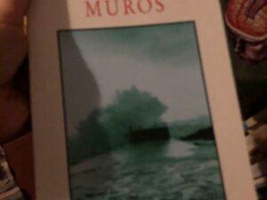 Muros de Júlio Machado Vaz