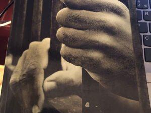 Canário de Rodrigo Guedes de Carvalho