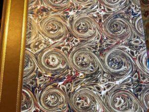 Fossil Mammalia - Part I  and II- The Zoology of the Voyage of H.M.S Beagle: Under the Command of Captain Fitzroy - During the Years 1832 to 1836