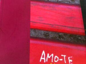 Amo-te ate aqui De Beklmira Besugo