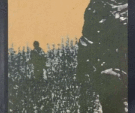 Nó Cego, Carlos Vale Ferraz