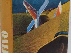 O Fugitivo, Desmond Bagley