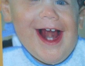 Receitas para alimentar o seu bebé – Alva Seixas Martins