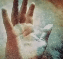 O Caminho para a Sobriedade - Bert Pluymen