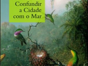 Confundir a Cidade com o Mar   Richard Zimler