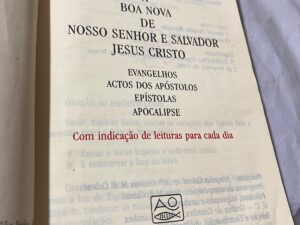 Novo Testamento: A Boa Nova de Nosso Senhor e Salvador Jesus Cristo