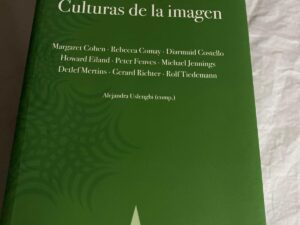 WALTER BENJAMIN.: CULTURAS DE LA IMAGEN, VARIOS AUTORES. ALEJANDRA USLENGHI (C0MP)