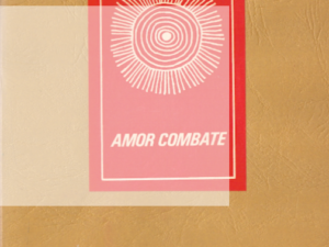 AMOR COMBATE, Joaquim Pessoa