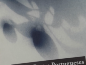 QUINZE POETAS PORTUGUESES DO SÉCULO XX