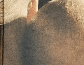 Como Nasce uma Criança Livro 1 de Lennart Nilsson, Axel Ingelman Sundberg e Claes Wirsen