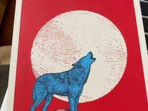 O Apelo Selvagem de Jack London