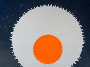 O lugar do homem no universo – Teilhard de Chardin