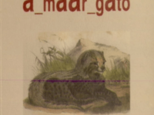 Detalhes do Produto A_mAAr_gAto de Maria Estela Guedes